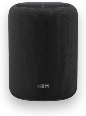 WiiM Sound Lite Smart Speaker, Multi-Room Wireless Speaker, Black